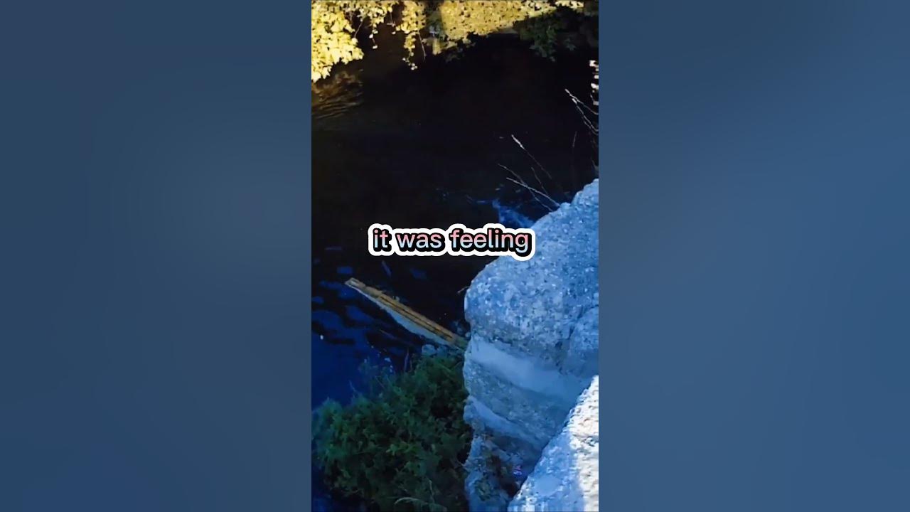 'Video thumbnail for Fishing Joke 21 #jokes #fishingjokes #humor'