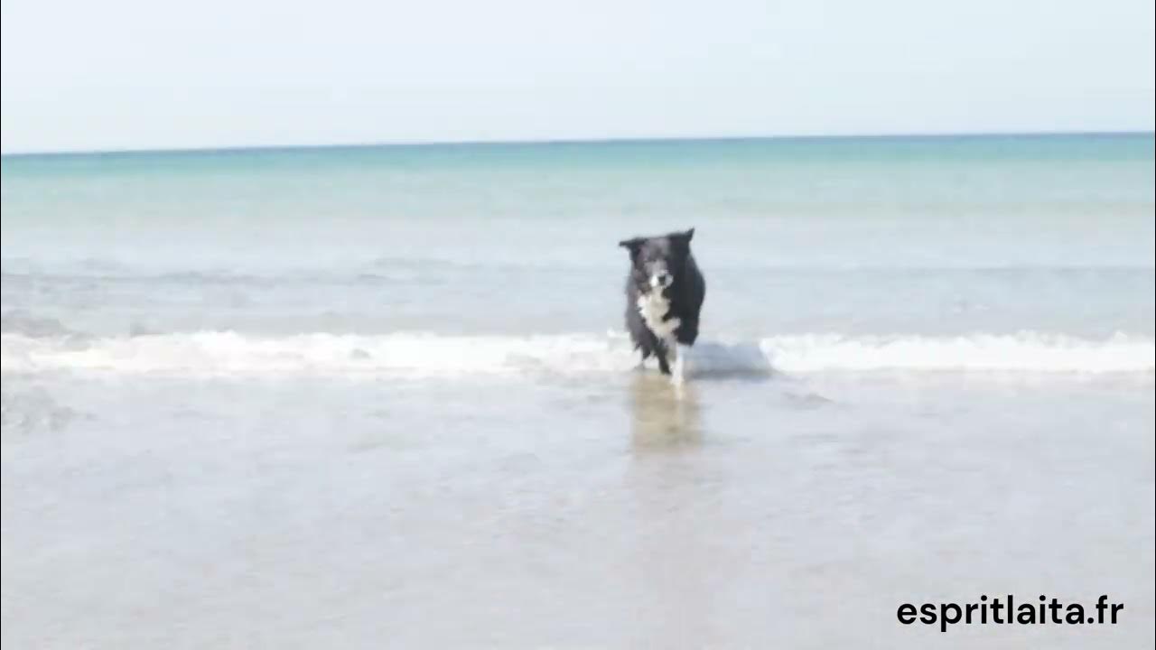 Video thumbnail for La plage du fort Bloqué