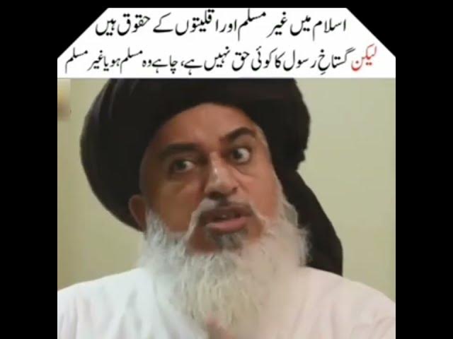 Video thumbnail for Rizvi fans hub