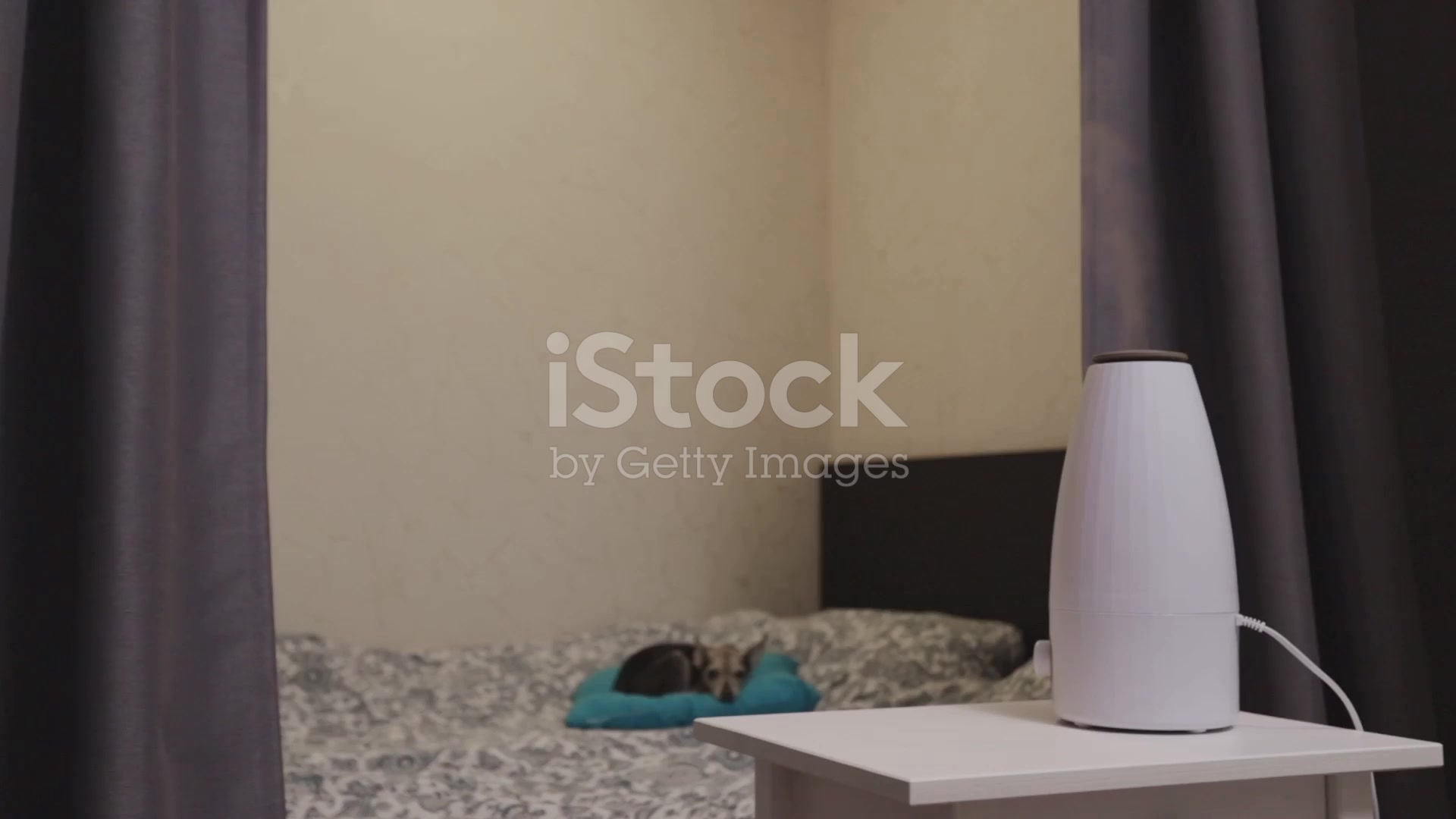 Video thumbnail for Where to Put a Humidifier When You’re Sick