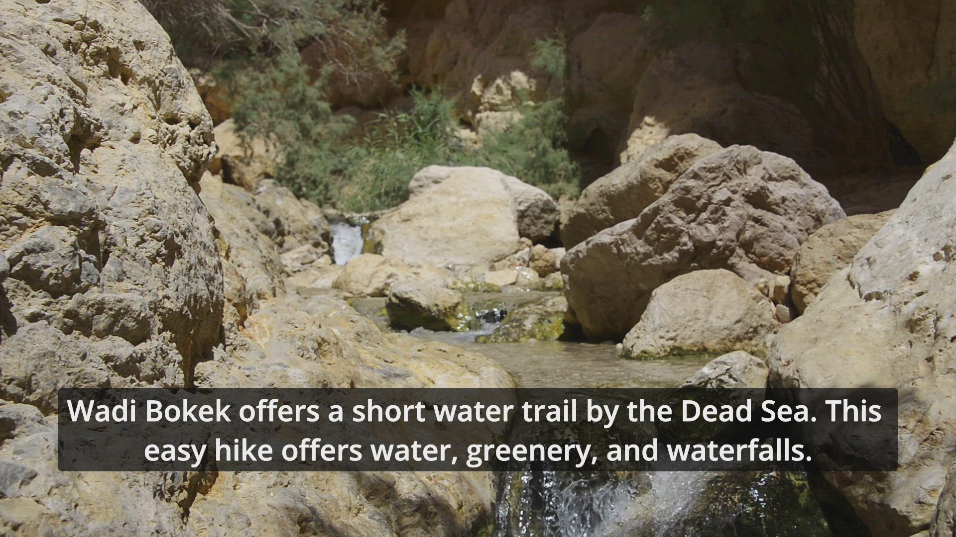 'Video thumbnail for Wadi Bokek'