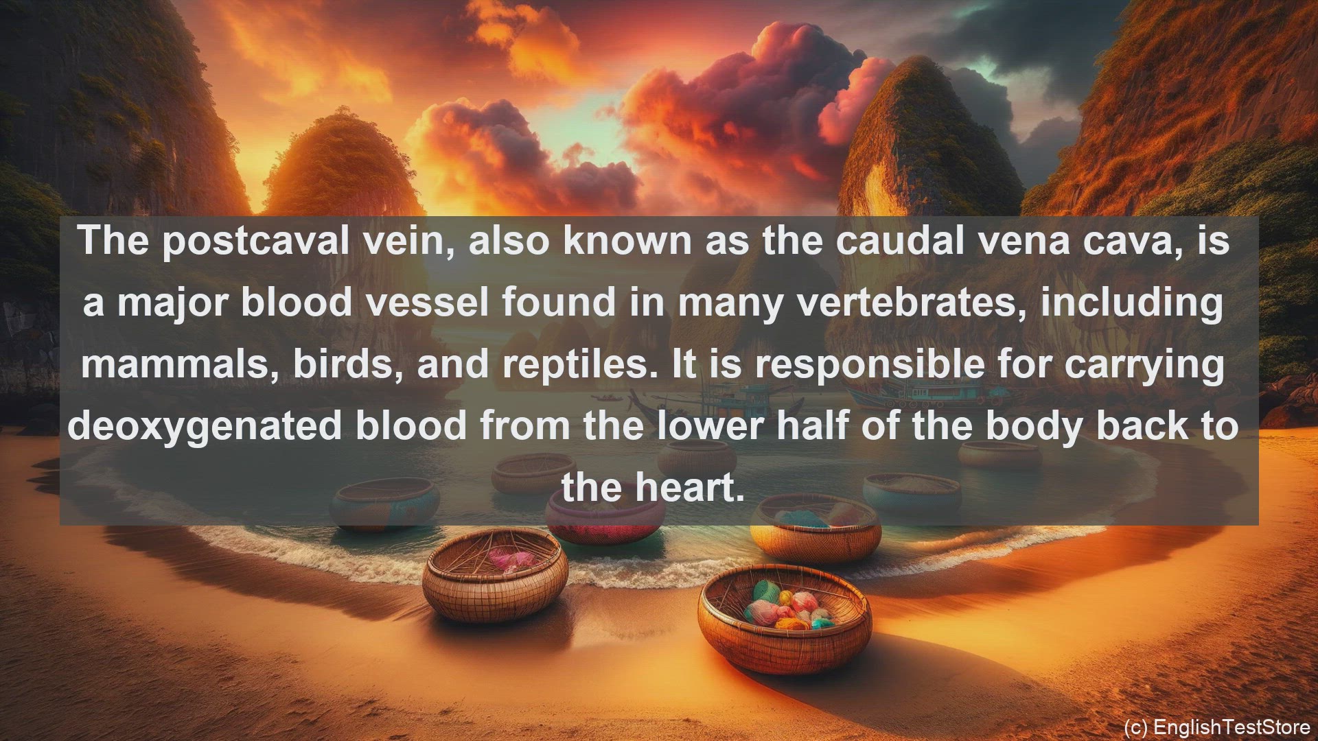 'Video thumbnail for Postcaval vein in science  definition and examples'