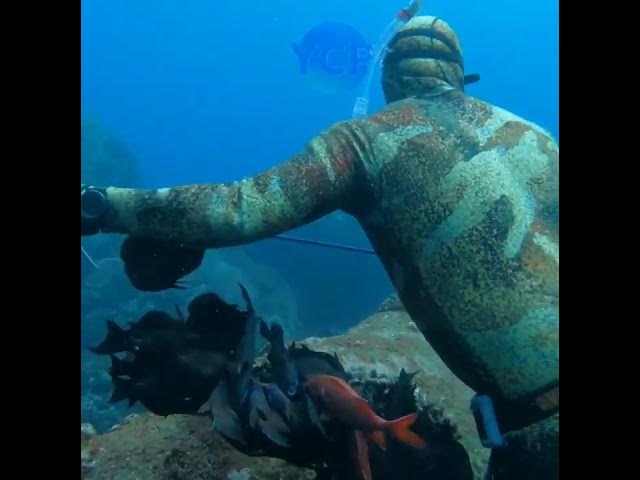 Video thumbnail for Hunting for food- Hawai Style..