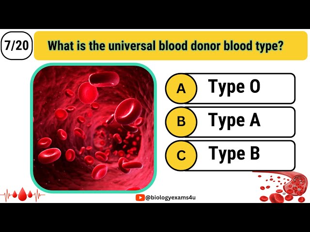 Playlist thumbnail for Human Body Simple Videos