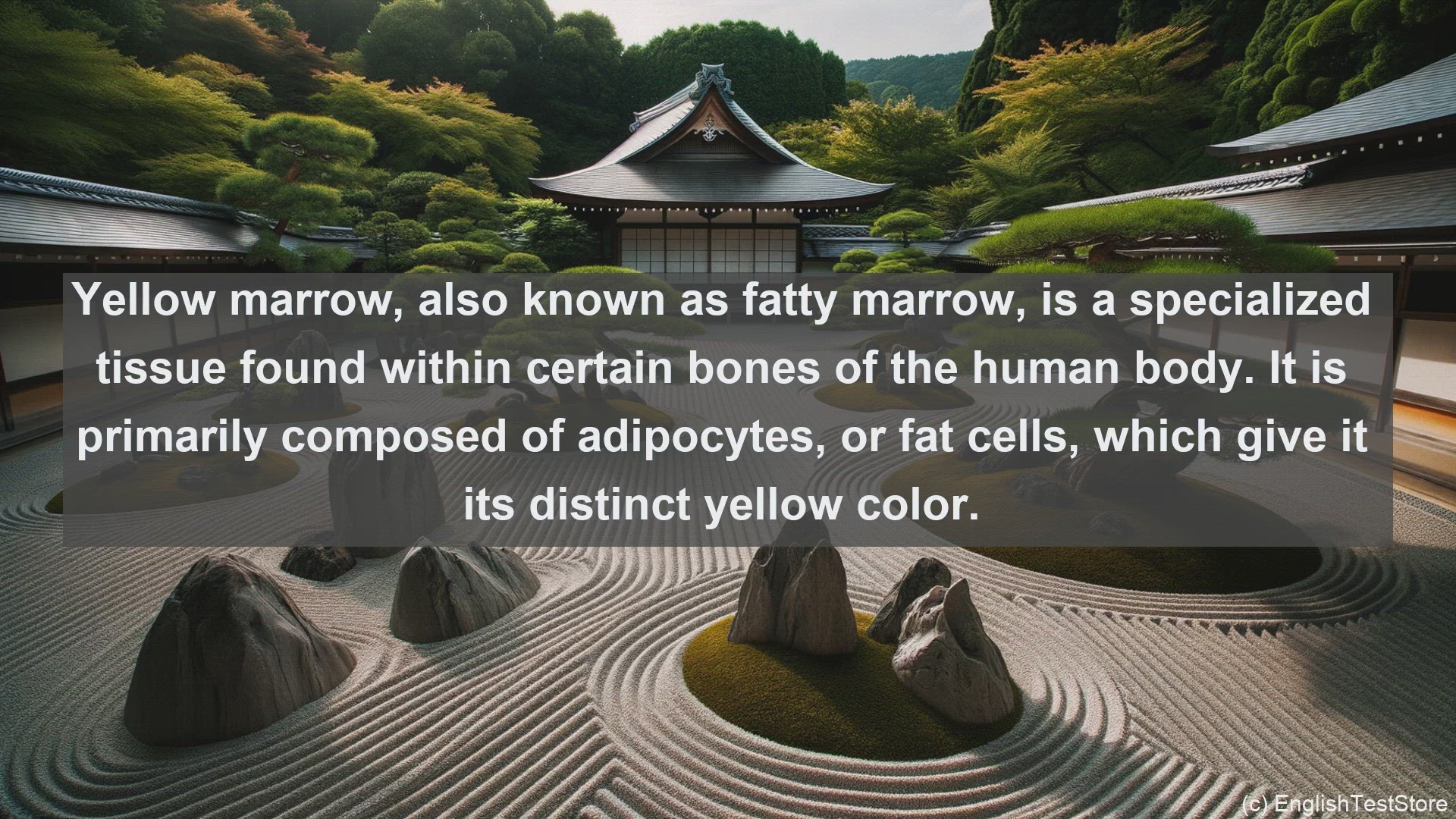 'Video thumbnail for Yellow marrow in science  definition and examples'