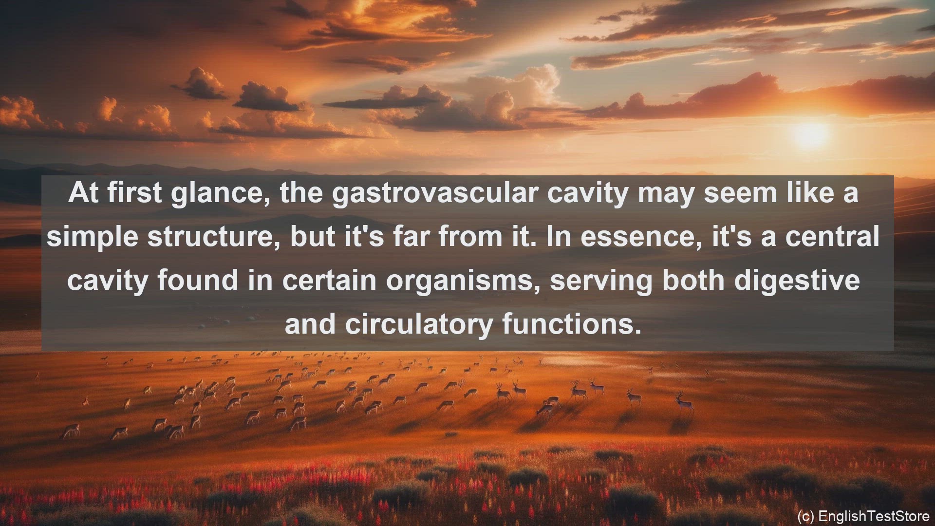 'Video thumbnail for Gastrovascular cavity in science  definition and examples'