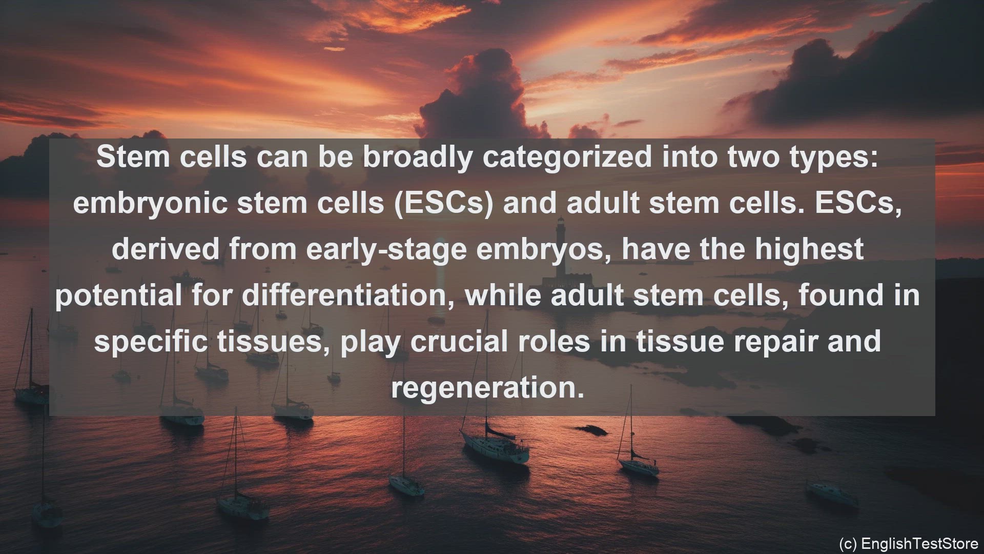'Video thumbnail for Stem cells in science  definition and examples'