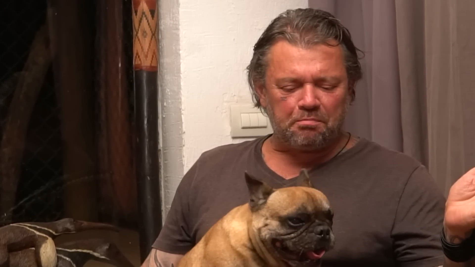 'Video thumbnail for As 5 Raças de Bulldog: Descubra as Diferenças e Curiosidades! 🐾✨'