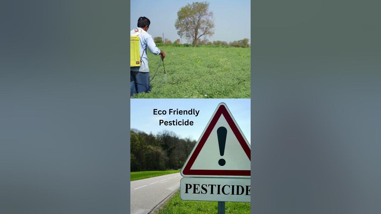 Video thumbnail for Eco Friendly Pesticide