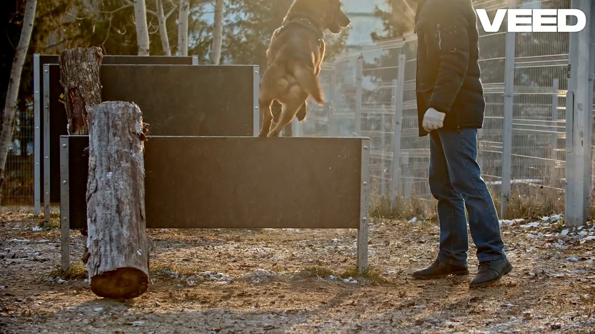 'Video thumbnail for Why German Shepherds Are Exceptional Pets!'