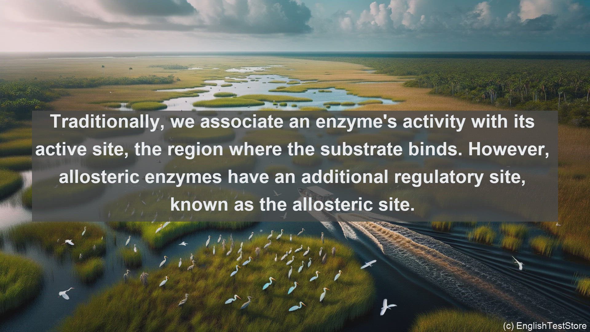 'Video thumbnail for Allosteric enzyme in science  definition and examples'