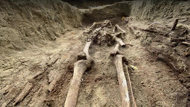 Video thumbnail for Polish Archaeologists Unearth Remains Of Nuns Executed By Soviets