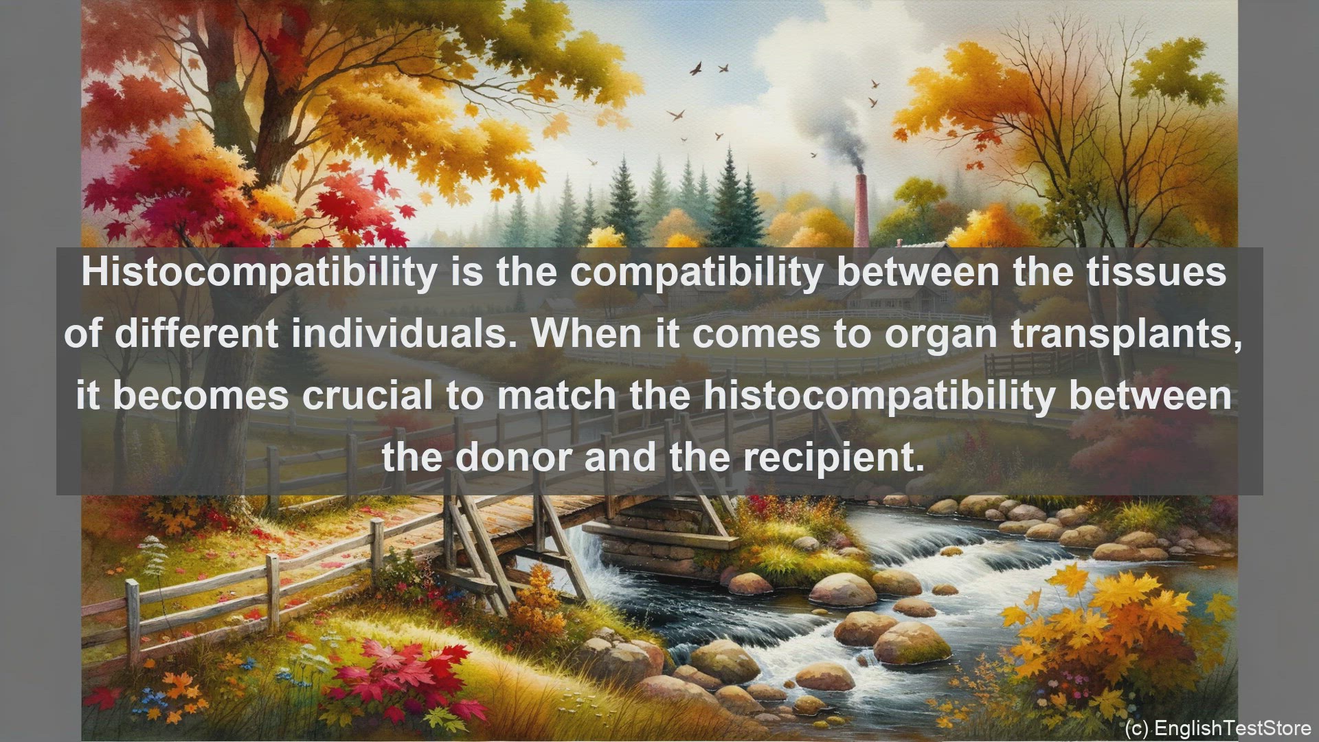 'Video thumbnail for Histocompatibility proteins in science  definition and examples'