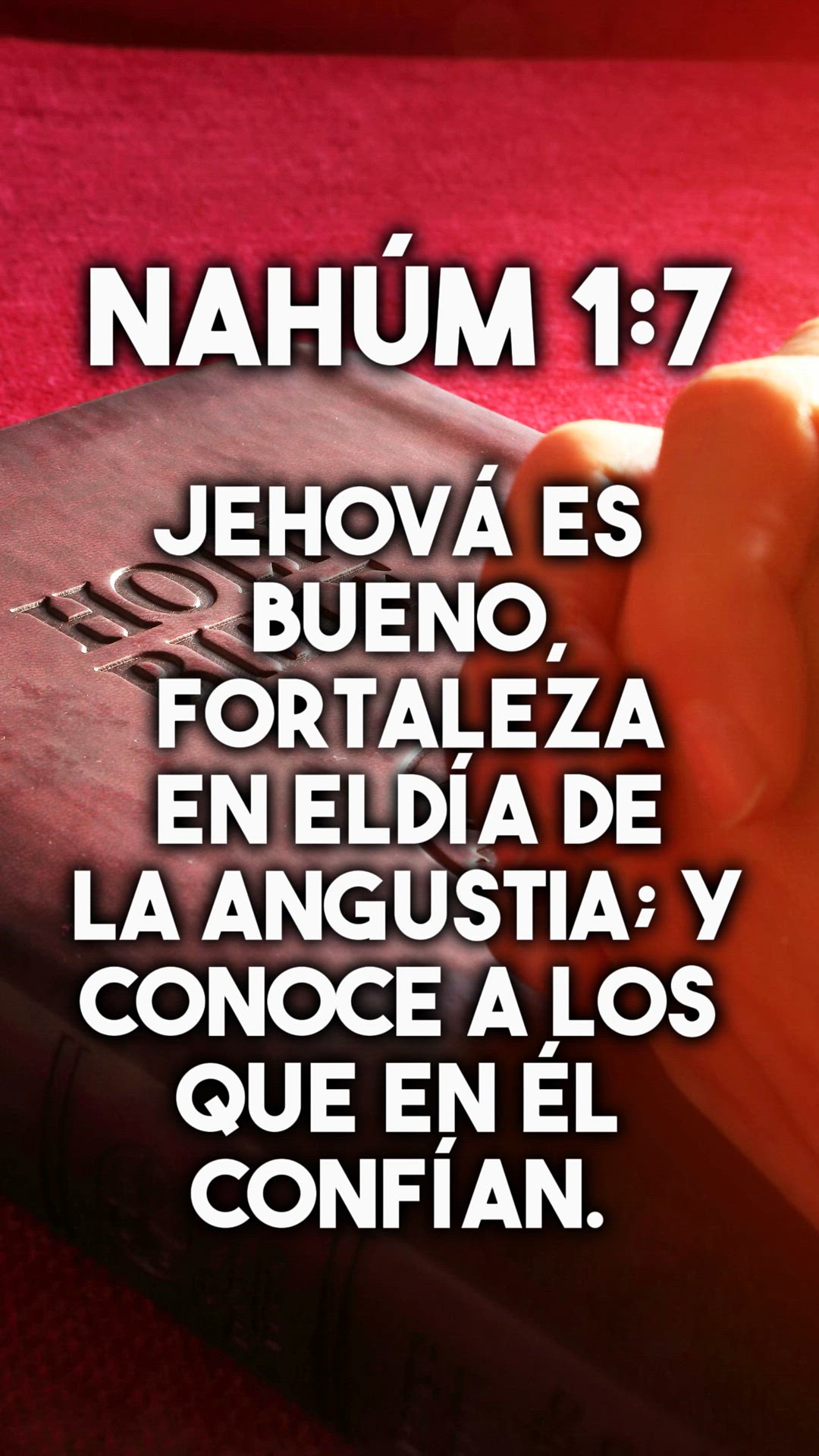 'Video thumbnail for Versículos de la Biblia que transformarán tu vida. #versiculodabiblia '