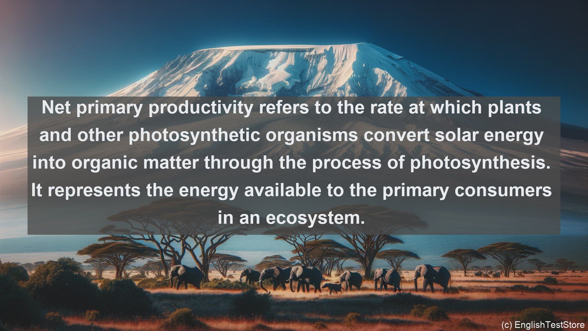 'Video thumbnail for Net primary productivity in science  definition and examples'