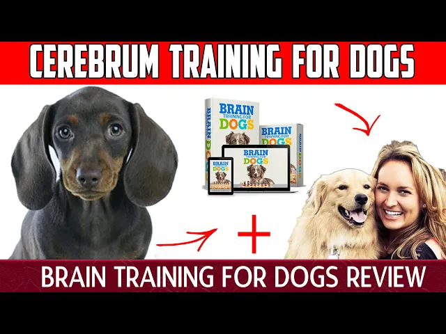 'Video thumbnail for Cerebrum Training for Dogs - Brain Training for Dogs Review'