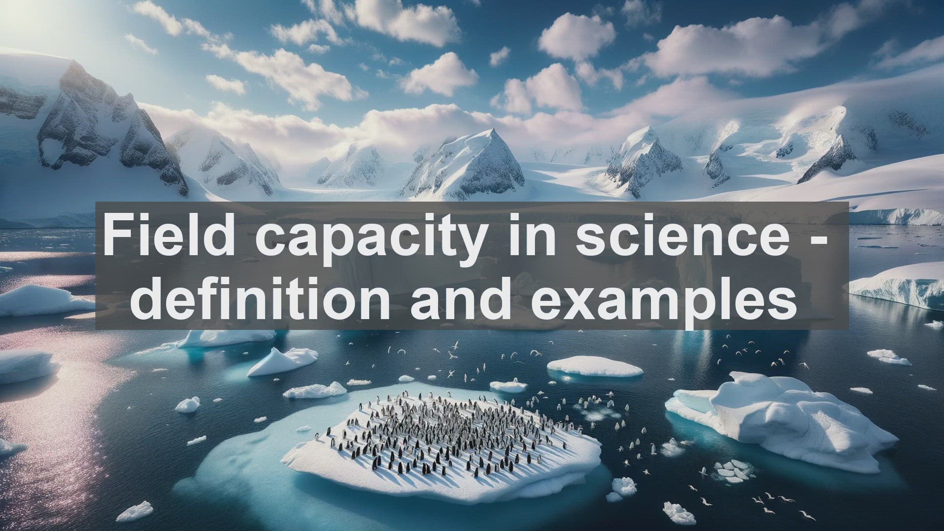 'Video thumbnail for Field capacity in science  definition and examples'