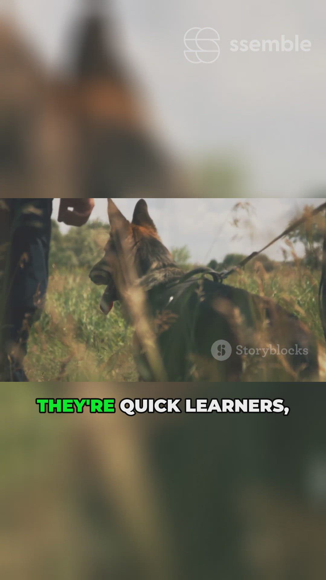'Video thumbnail for Smart Driven'
