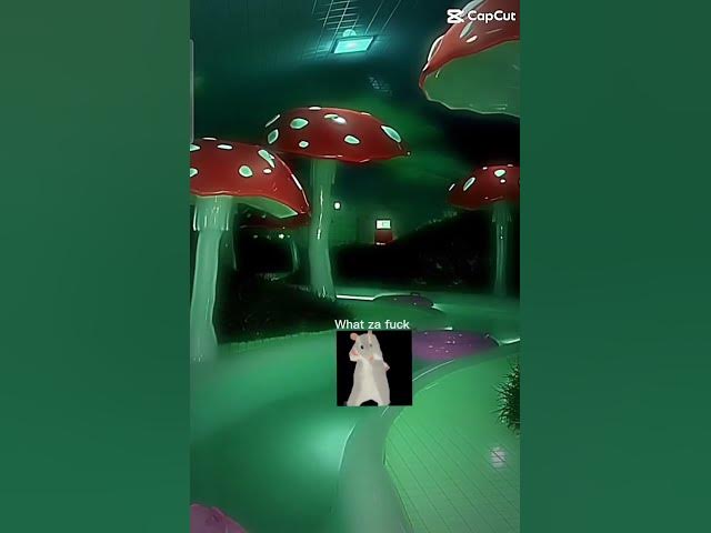 Video thumbnail for 💀