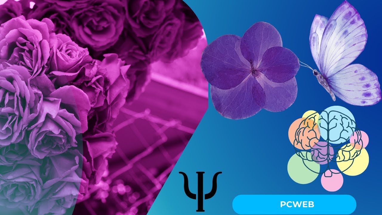 Video thumbnail for La Psicología del Color Violeta: Video blog