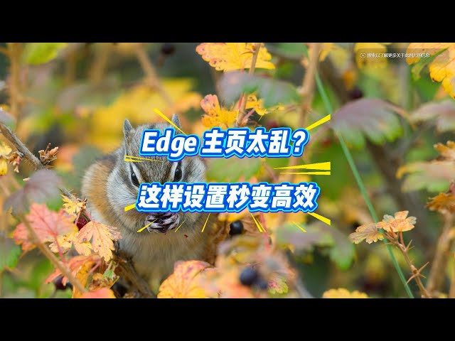 Video thumbnail for 告别分心!这样设置Edge主页专注力爆棚