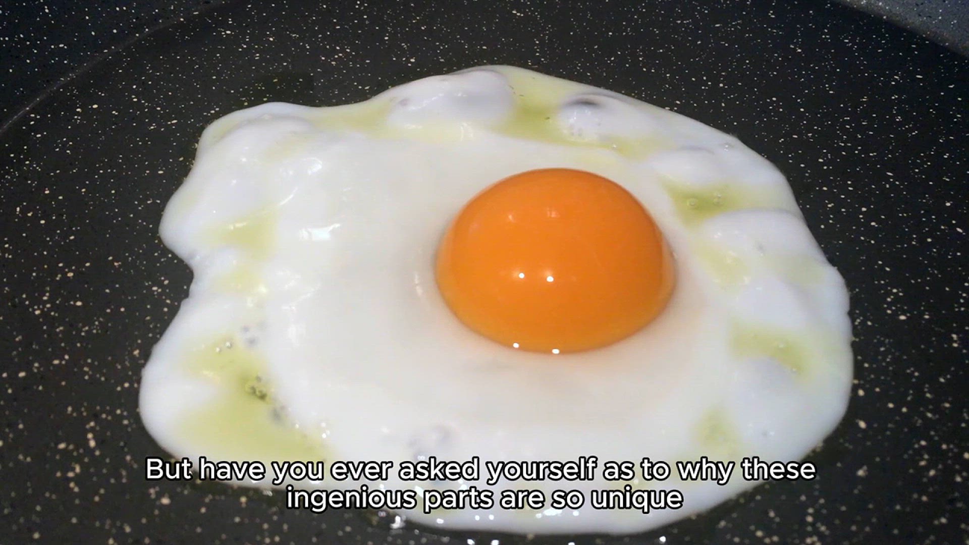 Video thumbnail for Eggs_ A Complete Protein