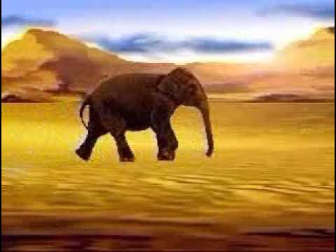 Video thumbnail for قصة الفيل قصص اطفال قبل النوم