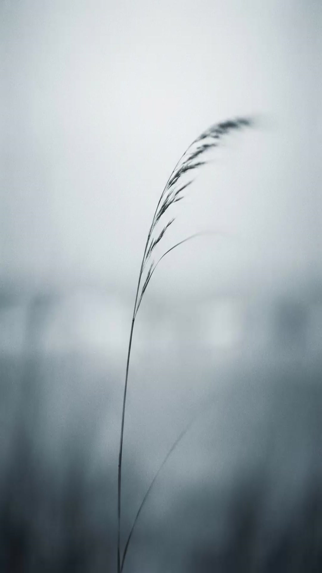 'Video thumbnail for 18   Where the Wind Stills'