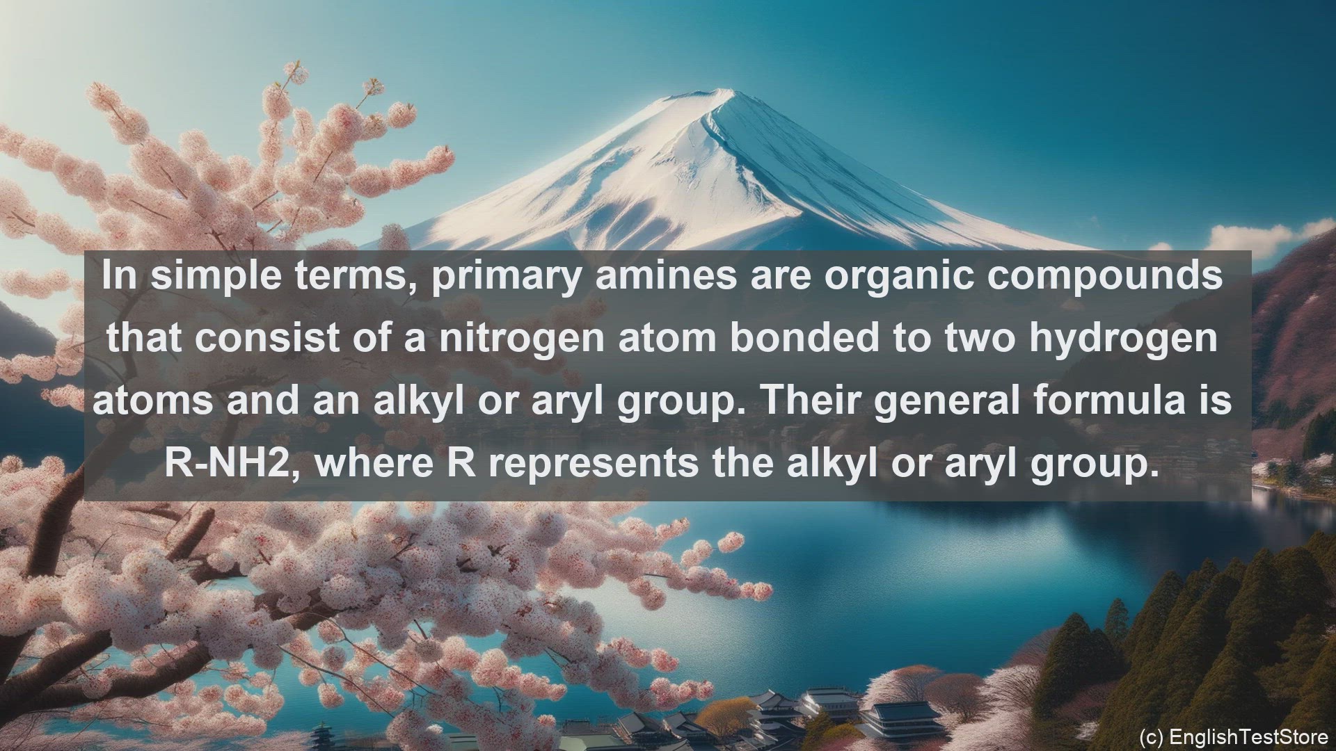 'Video thumbnail for Primary amine in science  definition and examples'