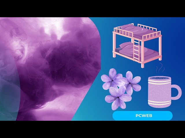 Video thumbnail for Secretos del Color Morado: video blog