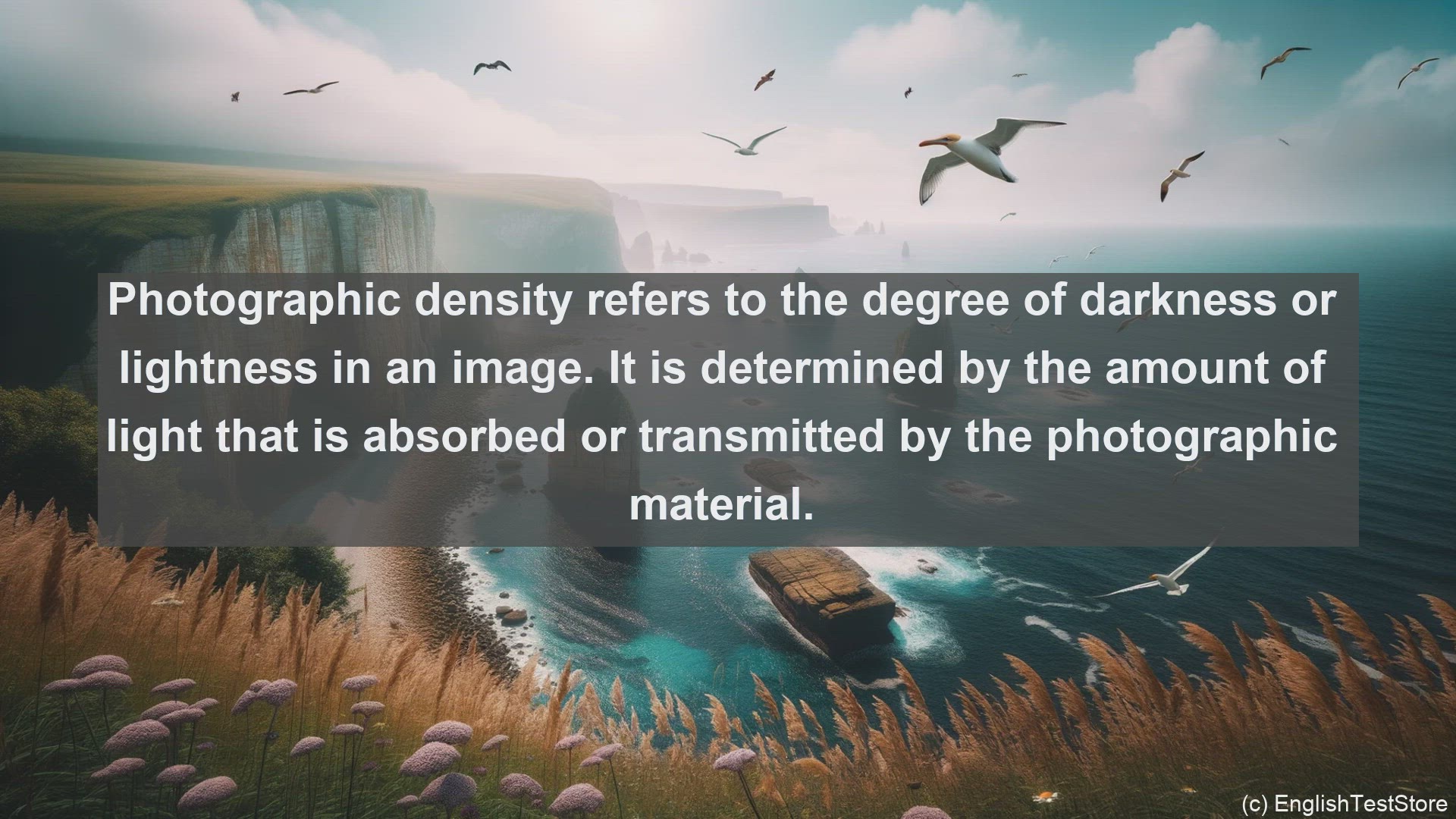 'Video thumbnail for Photographic density in science  definition and examples'