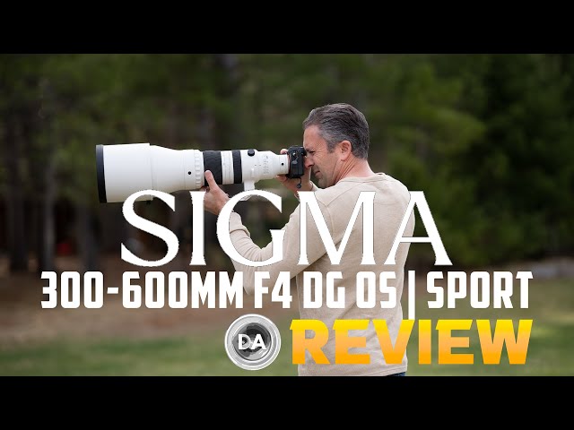 'Video thumbnail for Sigma 300-600mm F4 DG OS SPORT Review | An Expensive Bargain'