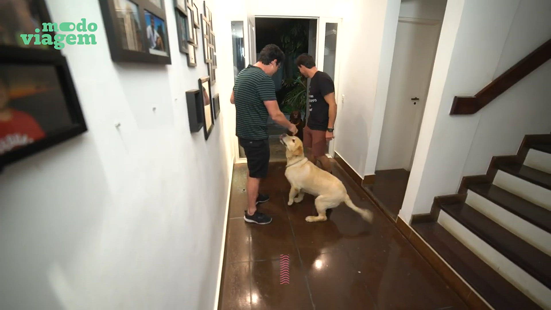 'Video thumbnail for Ivan e Bono, o Cão Surfista: O Que Não Pode Faltar na Mala do Seu Cachorro! 🐾🏄♂✨'