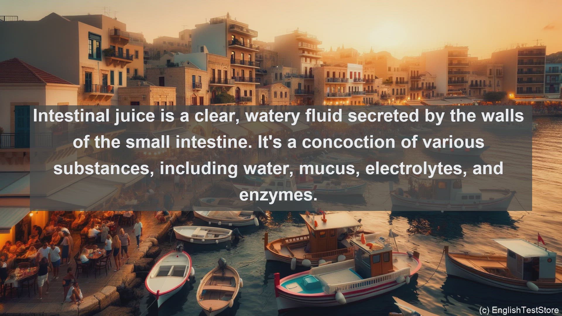 'Video thumbnail for Intestinal juice in science  definition and examples'