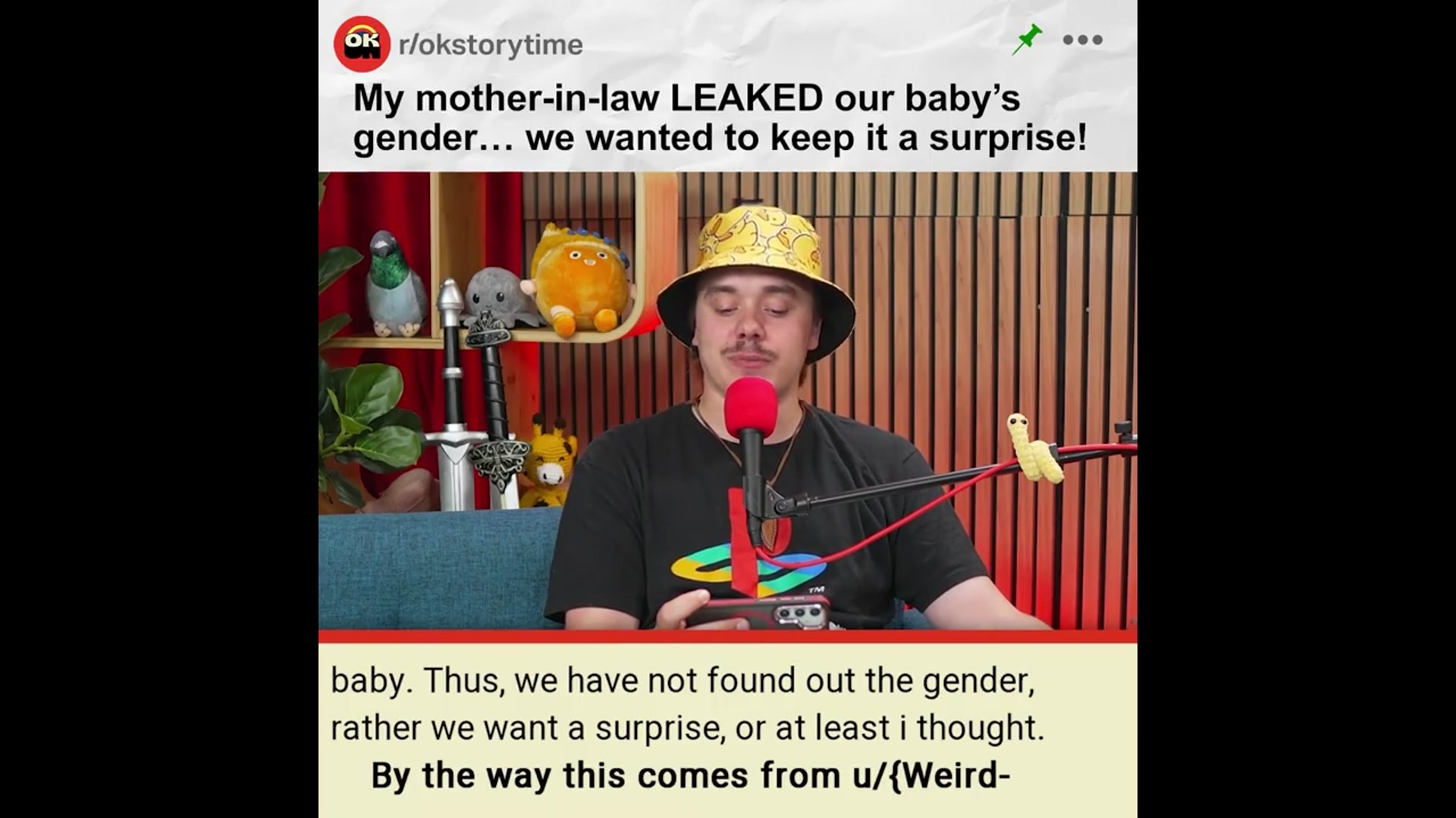 'Video thumbnail for My mother-in-law LEAKED our baby’s gender… we wanted to keep it a surprise! - r/AITAH | Reddit Stories'