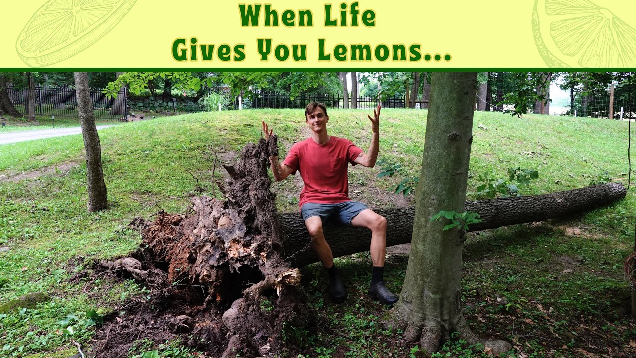 'Video thumbnail for When Mother Nature Wins!'