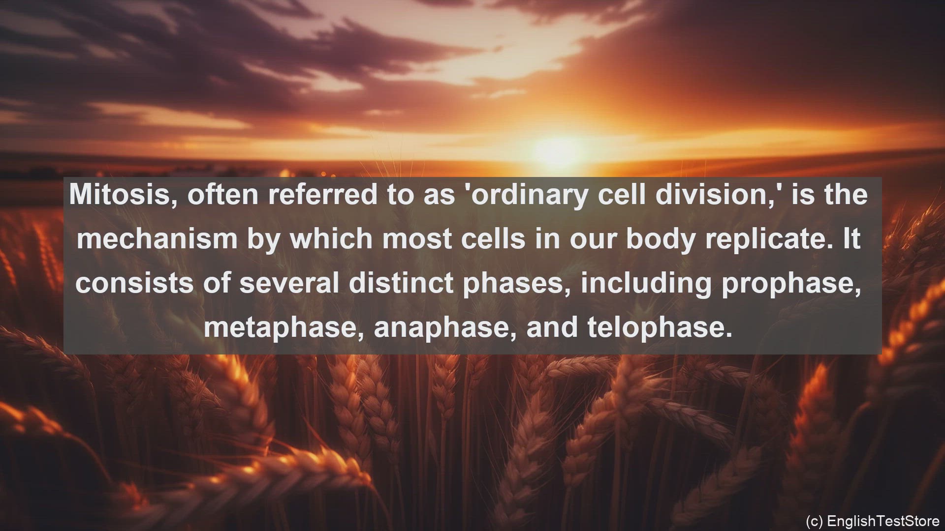 'Video thumbnail for Cell division in science  definition and examples'
