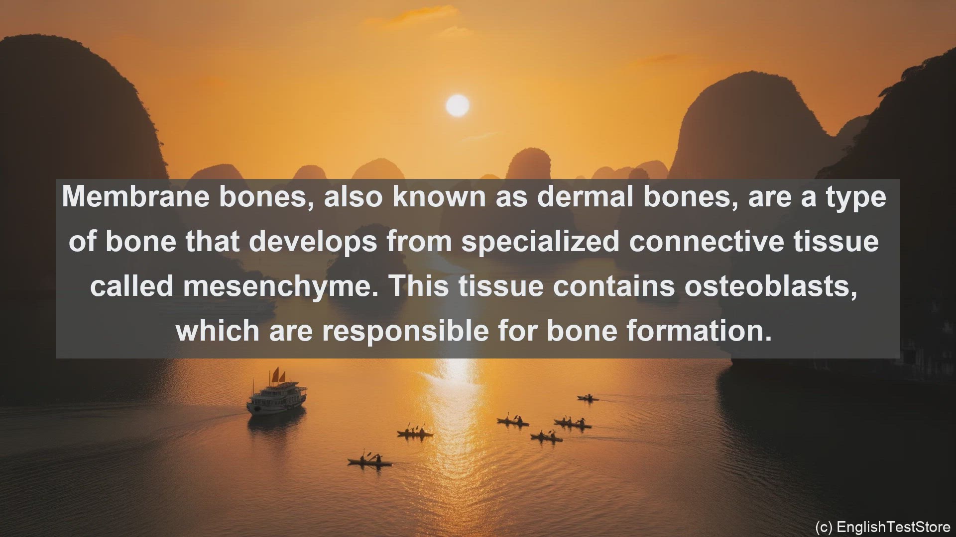 'Video thumbnail for Membrane bone in science  definition and examples'