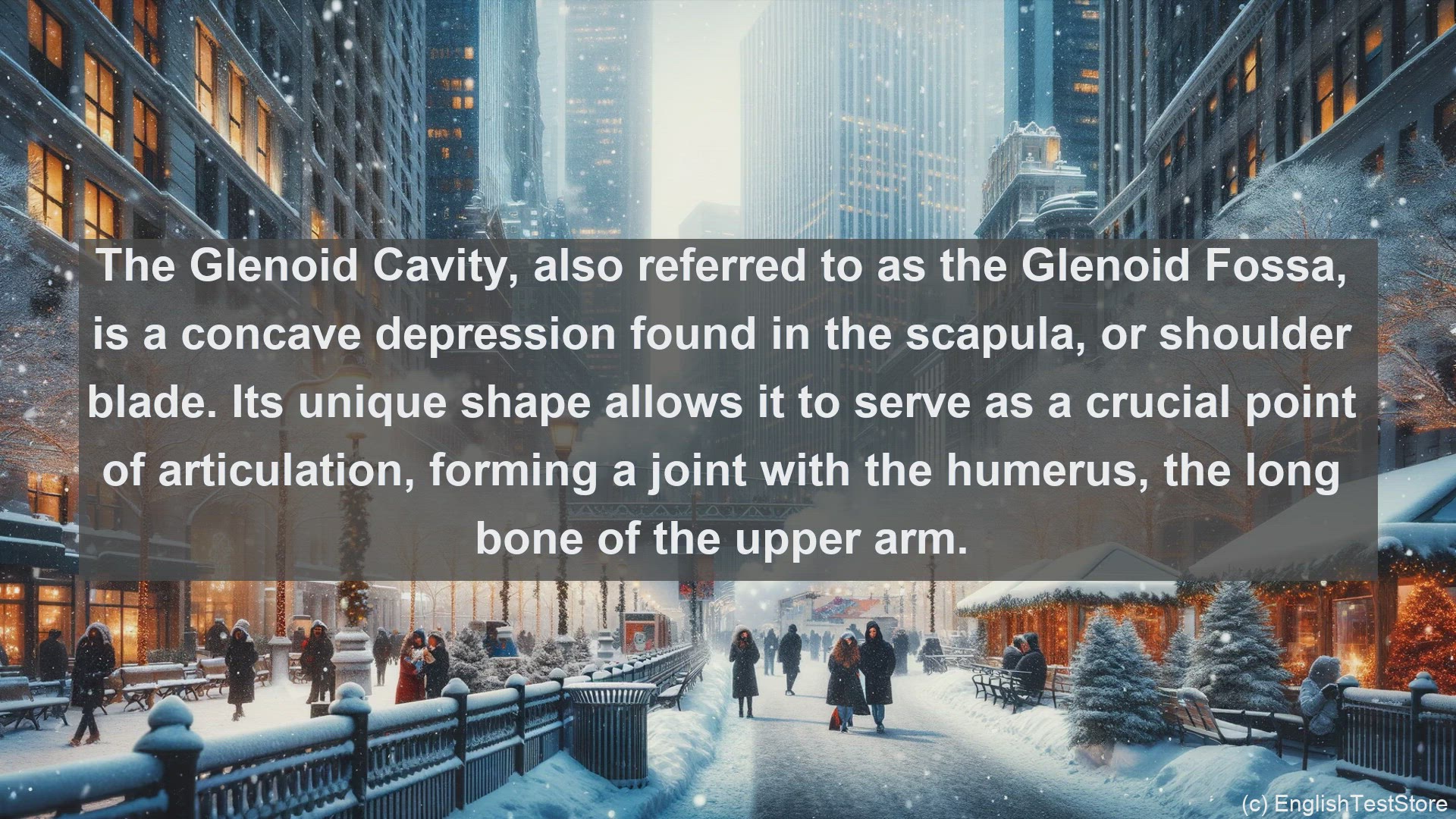 'Video thumbnail for Glenoid cavity in science  definition and examples'