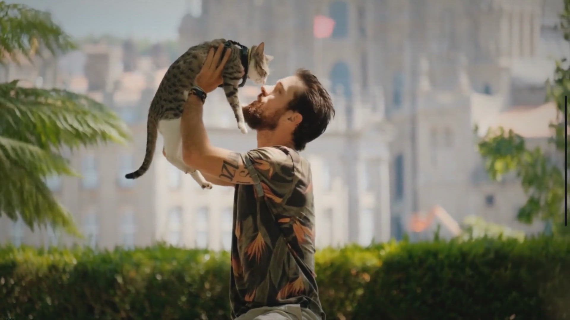Video thumbnail for Embark on Unforgettable Adventures with Your Feline Friend