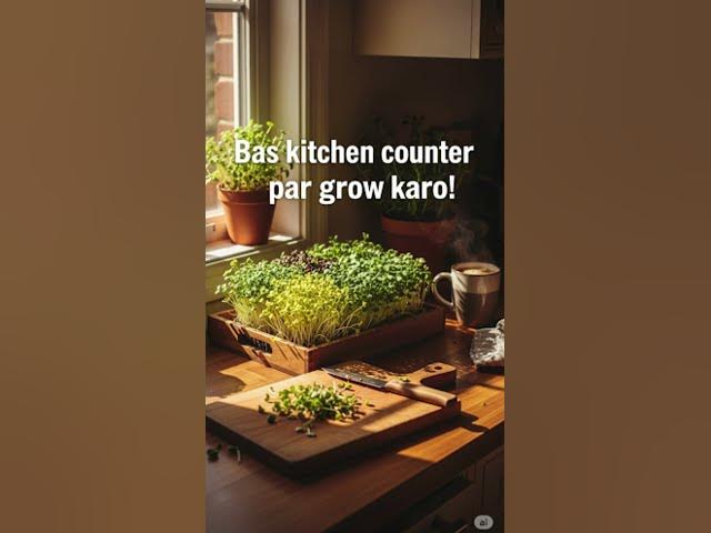 Video thumbnail for Microgreens in 7 Days 🌱 | Superfood at Home | Greenbean Club