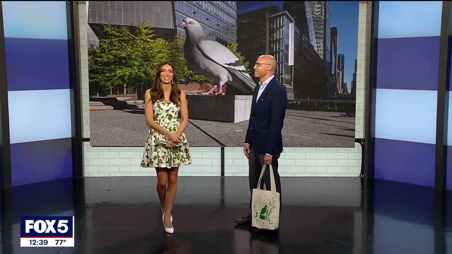 'Video thumbnail for Pigeon Fest crew coos it up on FOX 5'