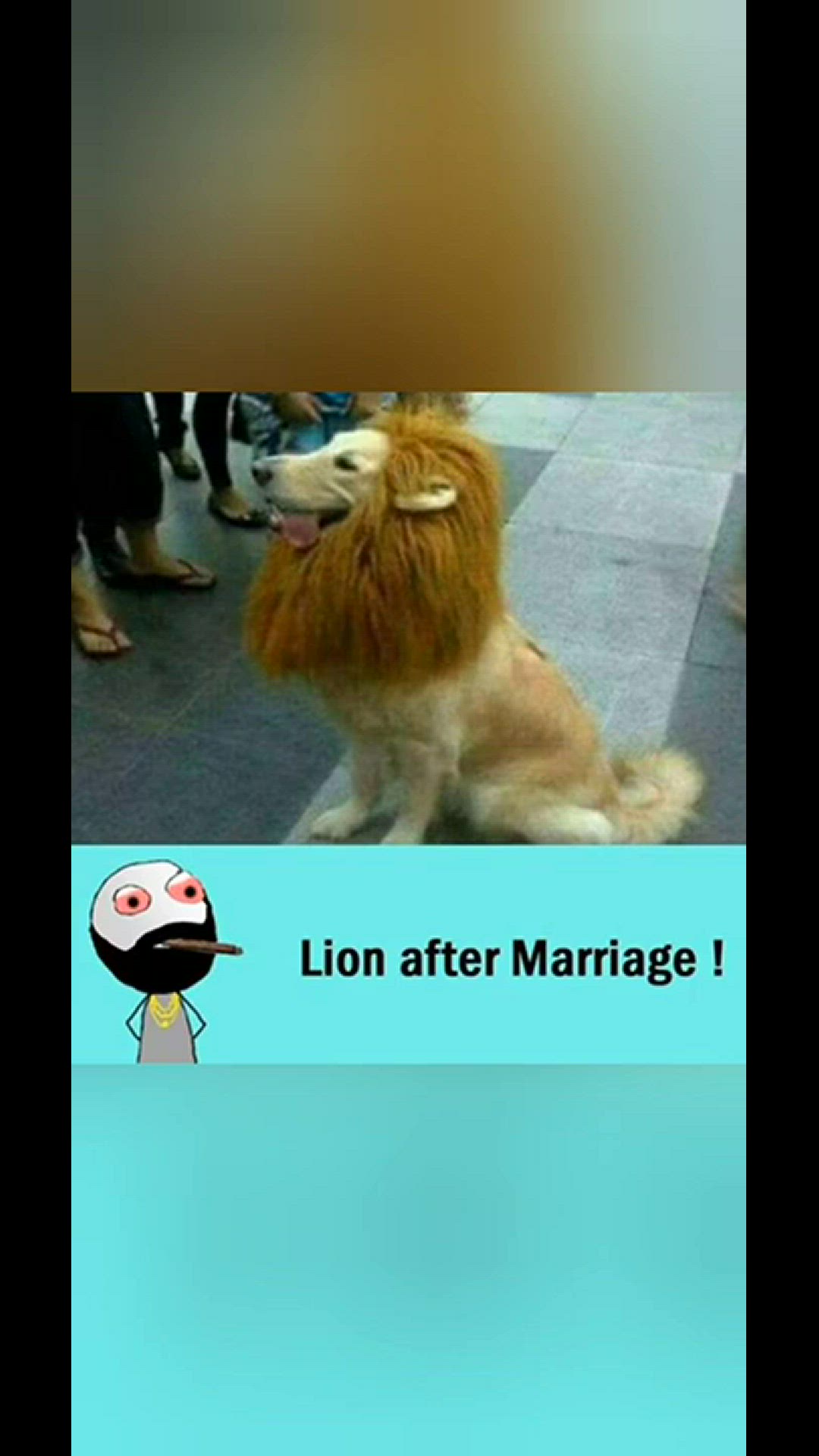 'Video thumbnail for funny memes that will make you laugh #485 || legend memes ||  funny relatable memes 😂 #clean #shorts'