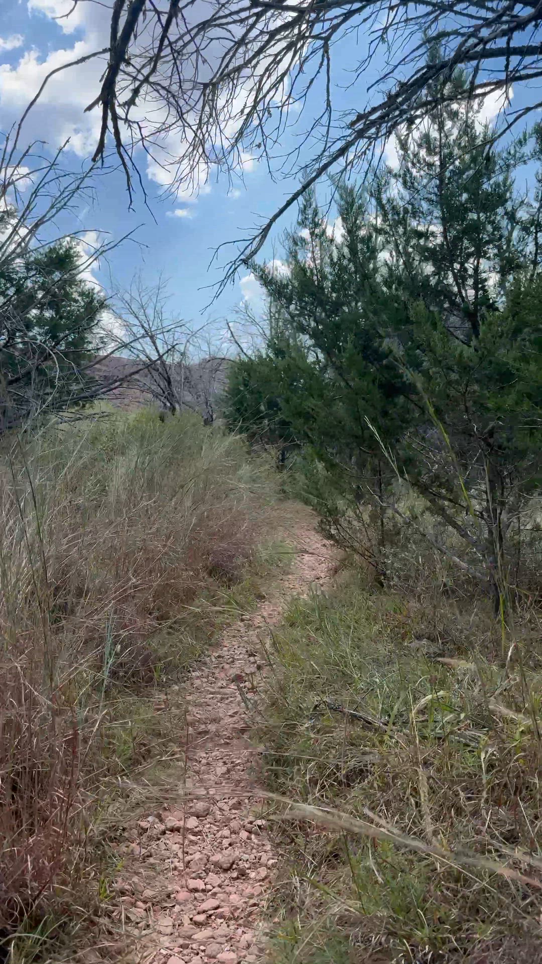 Playlist thumbnail for Inks Lake State Park