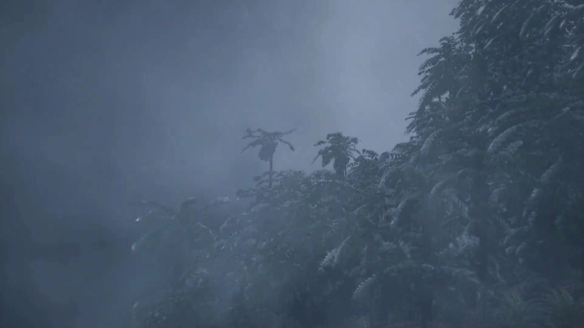 'Video thumbnail for Stages of Development: Tropical Depression, Tropical Storm, and Hurricane (Typhoon, Cyclone)'