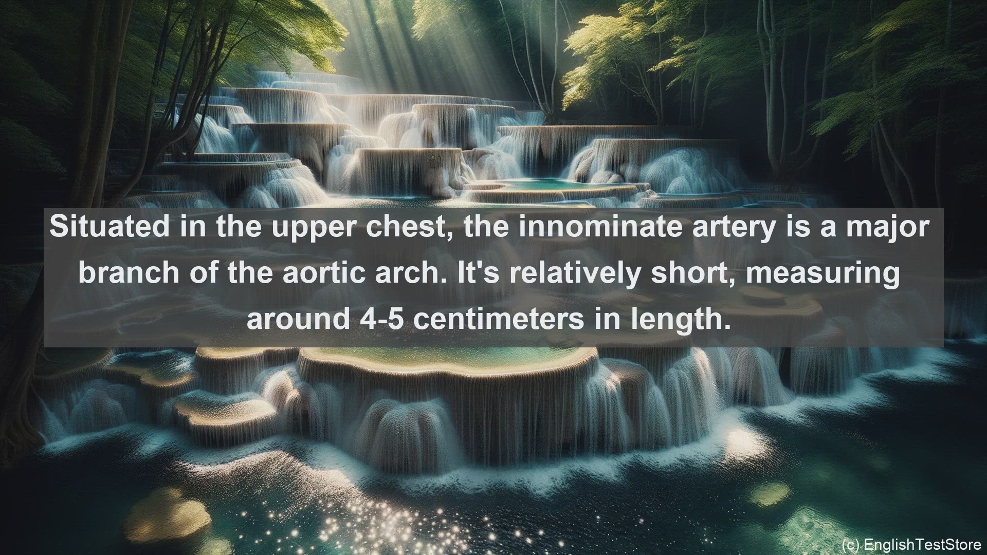 'Video thumbnail for Innominate artery in science  definition and examples'