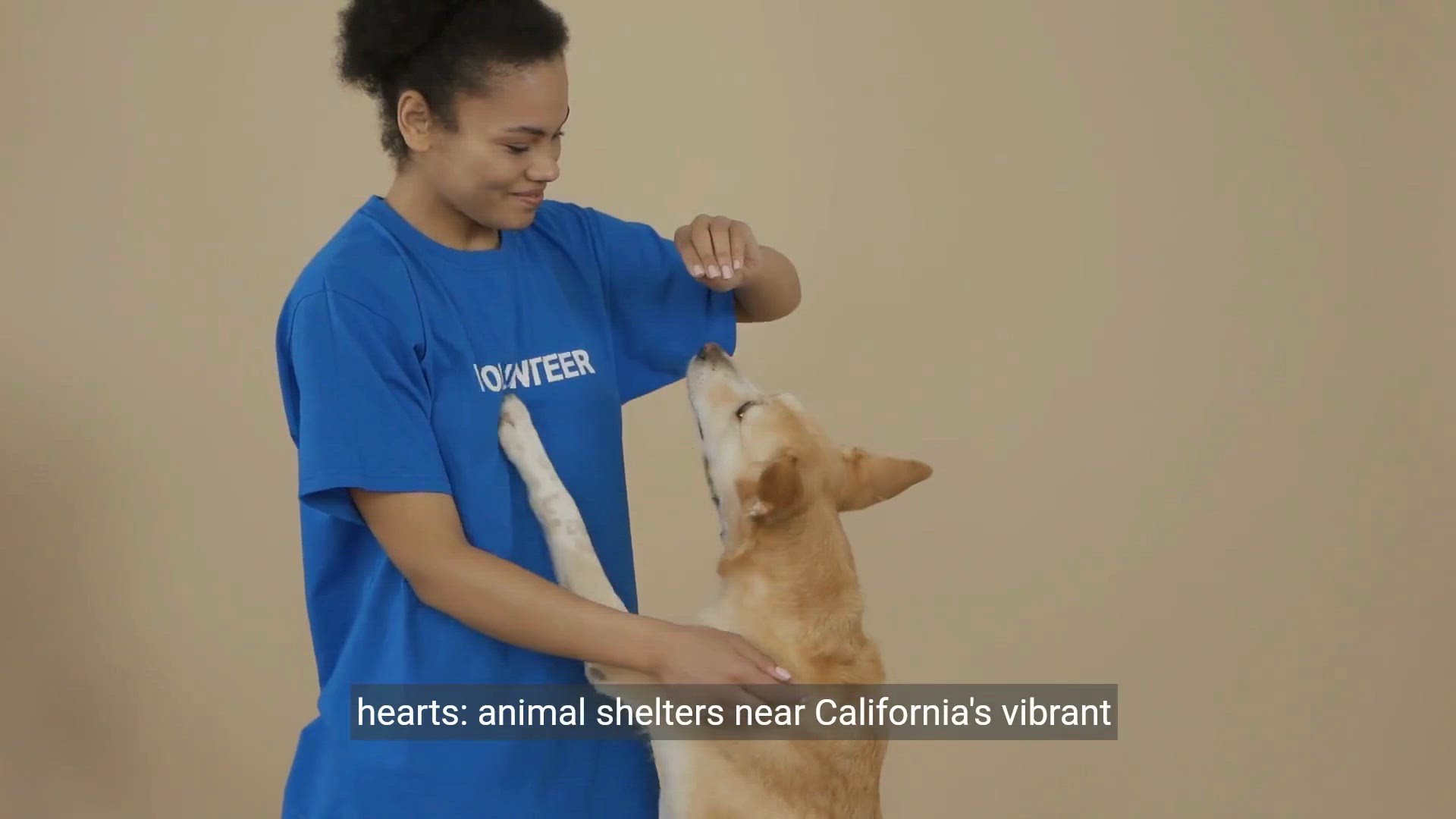 Video thumbnail for Exploring Animal Shelters Near Los Angeles | Rescue, Rehabilitate, and Support