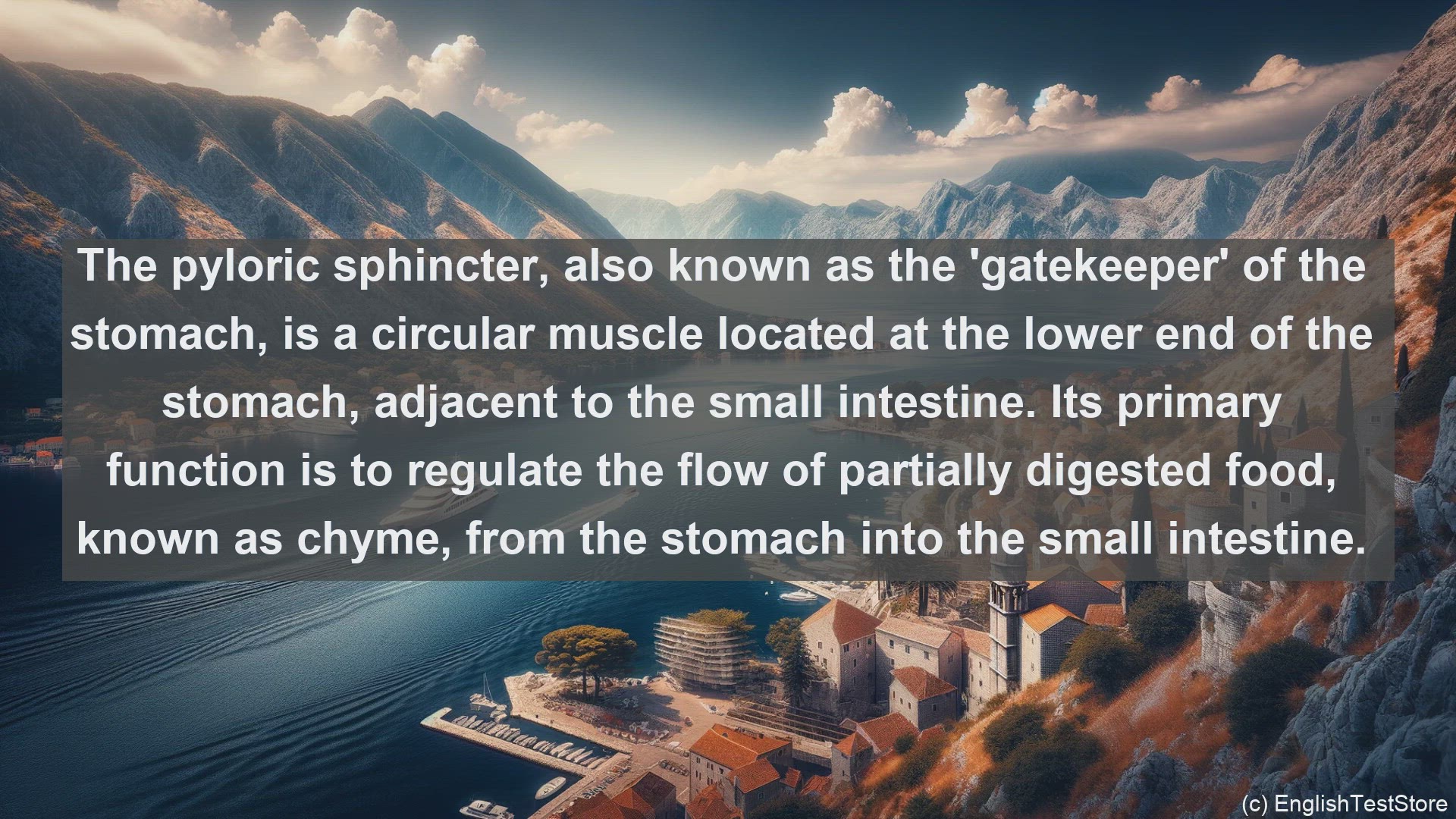 'Video thumbnail for Pyloric sphincter in science  definition and examples'