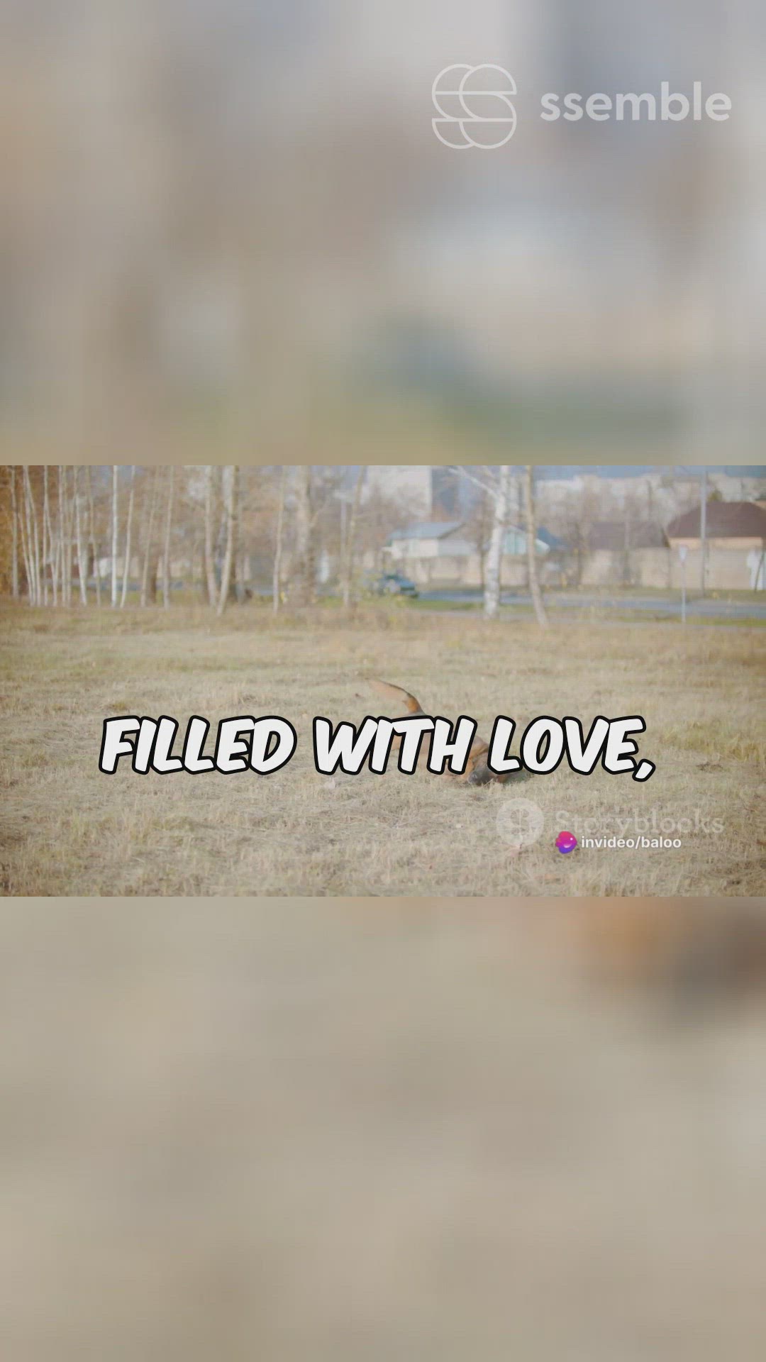 'Video thumbnail for GSD Journey'