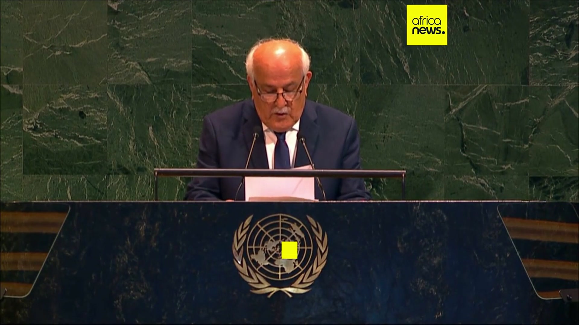 'Video thumbnail for UN General Assembly votes overwhelmingly in favour of immediate ceasefire in Gaza'